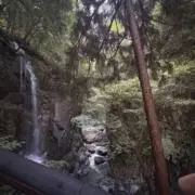 けんの画像
