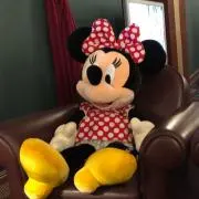 トトの画像