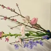 みー