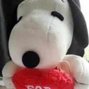こたつであいす