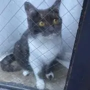 じゅじゅ