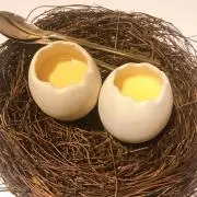 むーの画像
