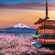 reboの画像