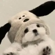 Yuun【次回発送→6/10〜11】の画像