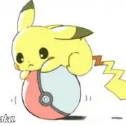 マイ太郎の画像