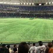 Image of ぴょん太