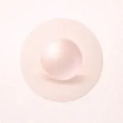 Shiroの画像