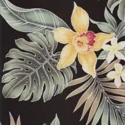 クラウンの画像