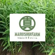マルシンファームの画像