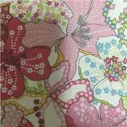 EMIの画像