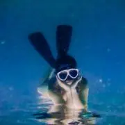 まいの画像