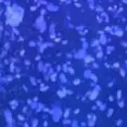 あの画像