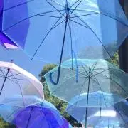 はにゅの画像
