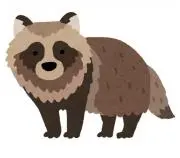 ぽんたぬき