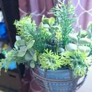 えりの画像