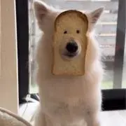 ムックの画像