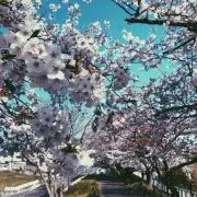 あんぱん"プロフ一読"【大幅値下げ中】の画像