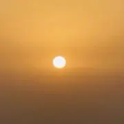 アリクイキング