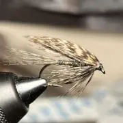 ウーリーの画像