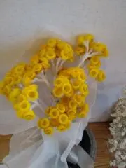 ちろへいの画像