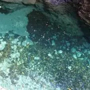 ataponの画像