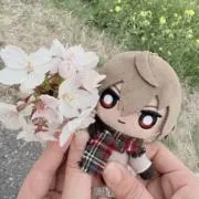 ミミの画像