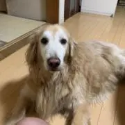 ゆーじ