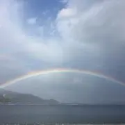 レインボー2000の画像
