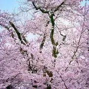 流@断捨離中・値下げ依頼登録内容検討可の画像