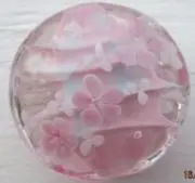 さくらの画像