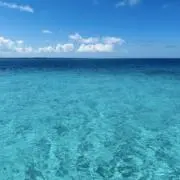 Mayumiの画像