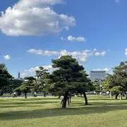 namioの画像