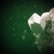 みみみみおんりーわんの画像