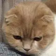 bubukuso