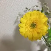 おいもの画像