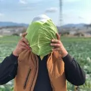 水a.k.a茄子