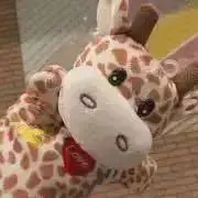 Mの画像
