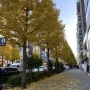 Kusuの画像