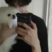 ⭐︎の画像