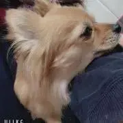 ERIKAの画像