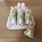 カオリの画像