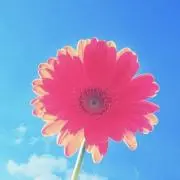 ぴゅあR。の画像
