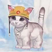 ゆーぎねこ★まとめ買い大歓迎★の画像