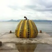Yuの画像