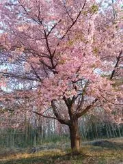 ☆スマイル☆の画像