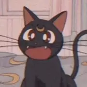 ⭐️の画像
