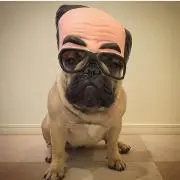 グリーナ