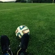 ミックスの画像