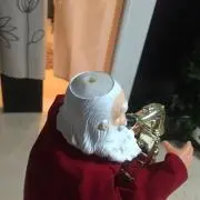 チャビン