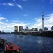 ごこちゃんの画像